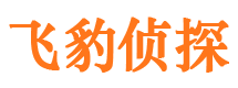 石台市调查公司